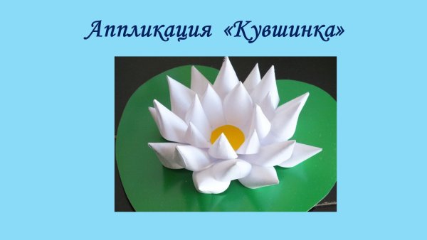 Аппликация кувшинка