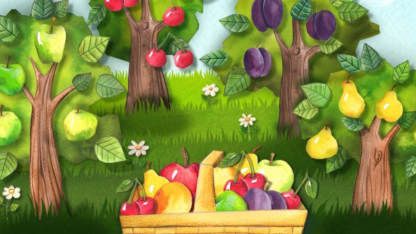 Фрукты на дереве