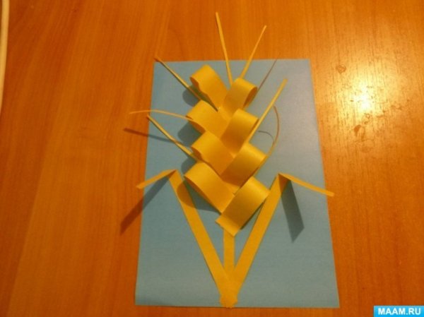 Аппликация колосок в средней группе