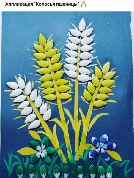 Аппликация колосок в старшей группе