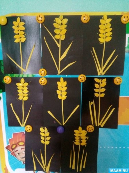Колос аппликация в старшей группе