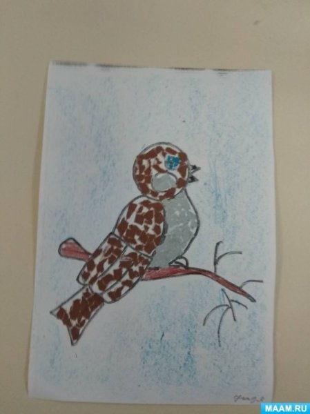 Обрывная аппликация Воробей в средней группе
