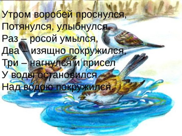 Аппликацияворобиь в лужах