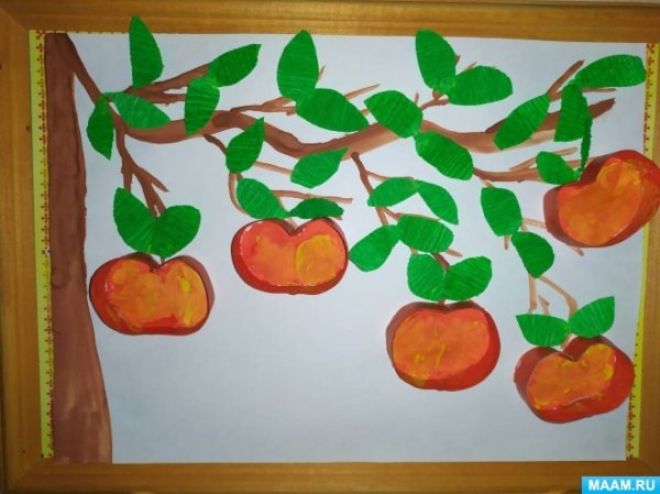 Рисование яблоня с яблоками старшая группа