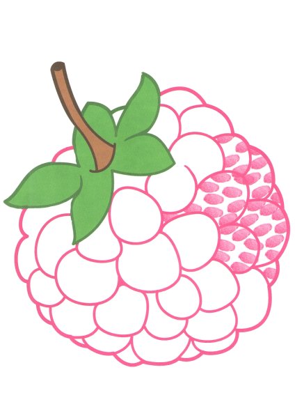 Малина рисунок для детей