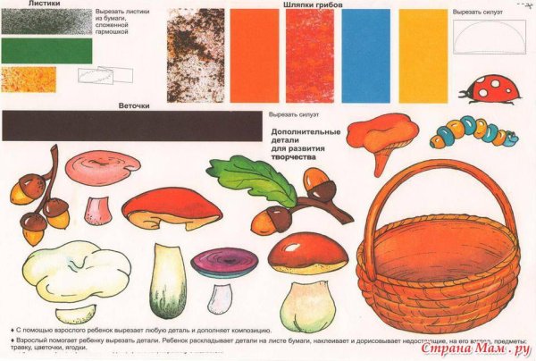 Аппликация грибы в подготовительной группе