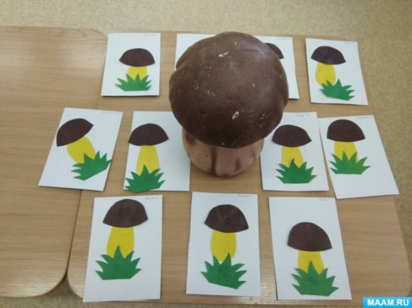 Аппликация в средней группе на тему грибы