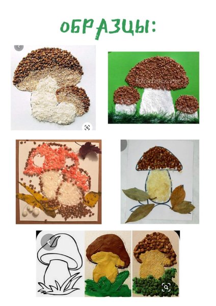 Аппликация в старшей группе на тему грибы