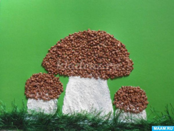 Аппликация гриб из крупы