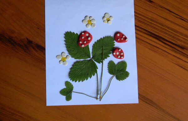 Аппликация ягоды