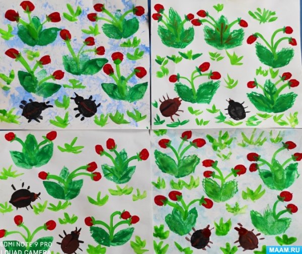 Рисование ягоды в средней группе