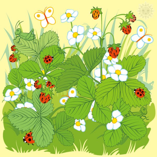 Ягодная Полянка для детей