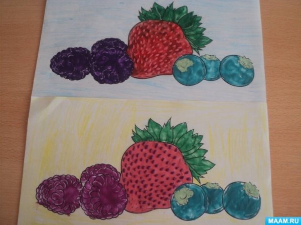 Рисование ягоды в старшей группе