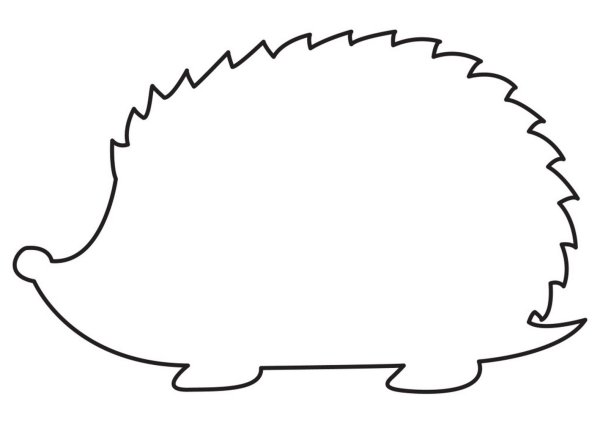 Ёжик раскраска для детей