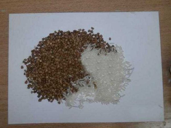 Ежик из крупы аппликация