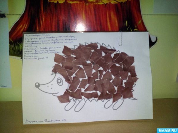 Обрывная аппликация Ежик в средней группе