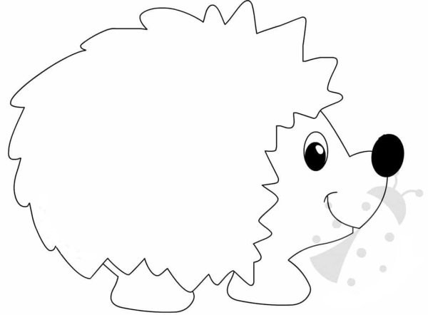 Заготовки для аппликаций