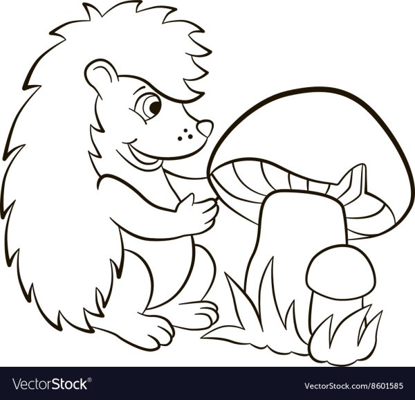 Ежик с яблоками раскраска для детей