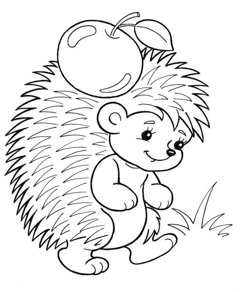 Раскраска Ёжик