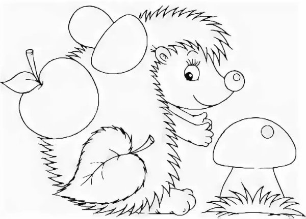 Раскраска Ёжик