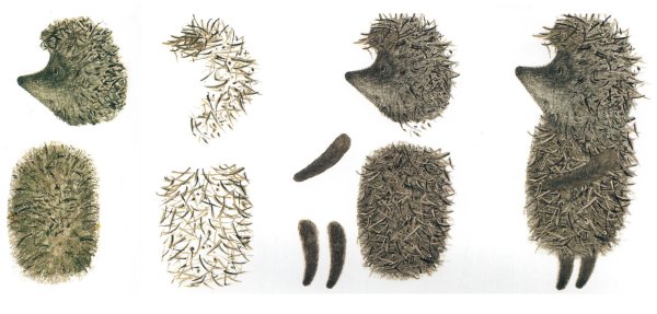 Перекладка Ежик в тумане