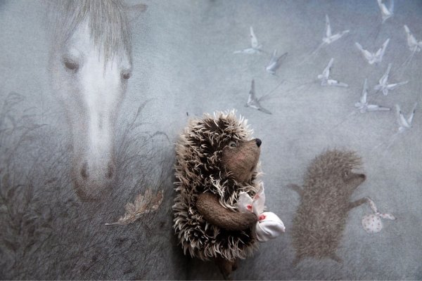 Ежик из тумана