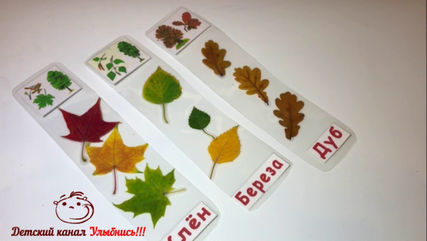 Закладки для книг гербарий