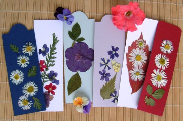 Закладки с засушенными цветами