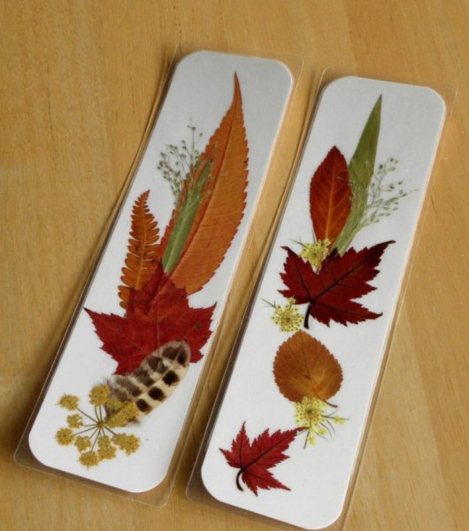 Закладки с засушенными цветами