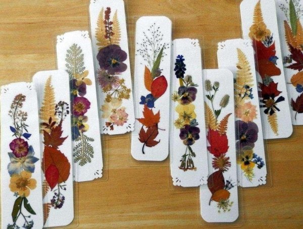 Флористические закладки