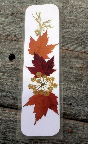 Осенние закладки