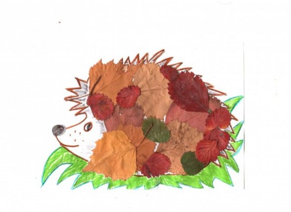 Ёжик из листьев аппликация