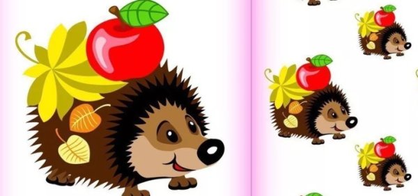 Еж большой маленький