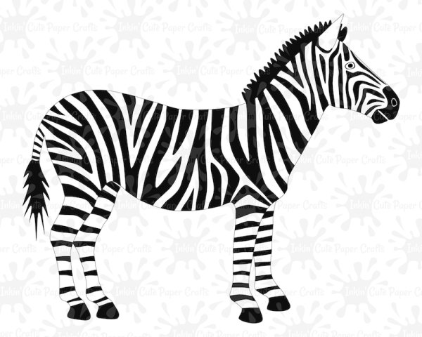 Зебра контур