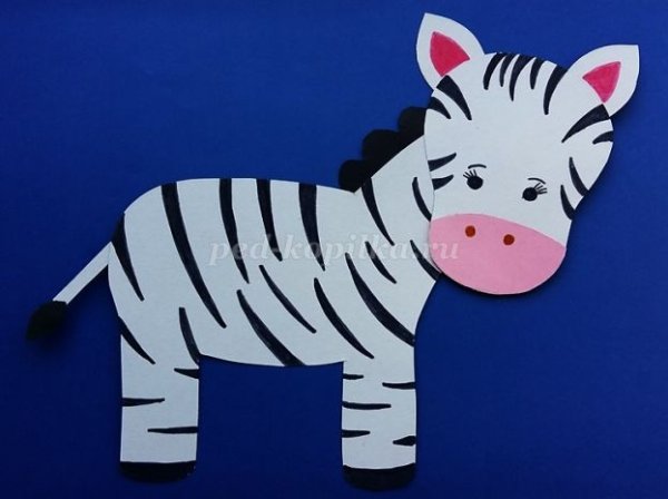 Аппликация полосатые зебры средняя группа