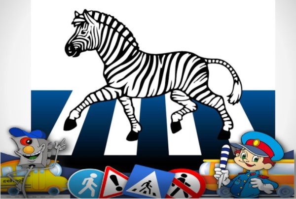 Зебра для детей по ПДД