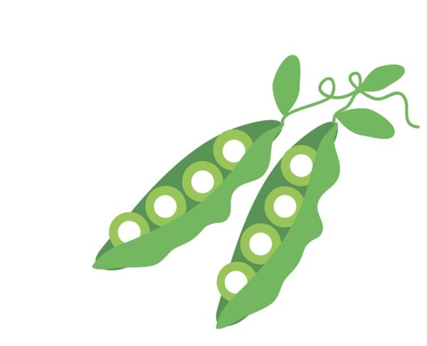 Поделка горох