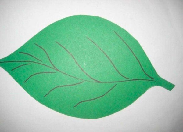 Листочки из картона