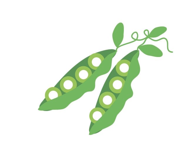 Поделка горох