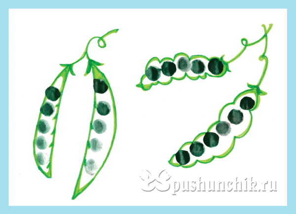 Стручок гороха раскраска