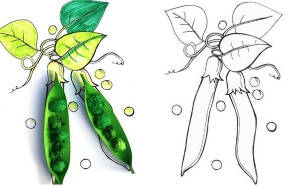 Аппликация стручок гороха