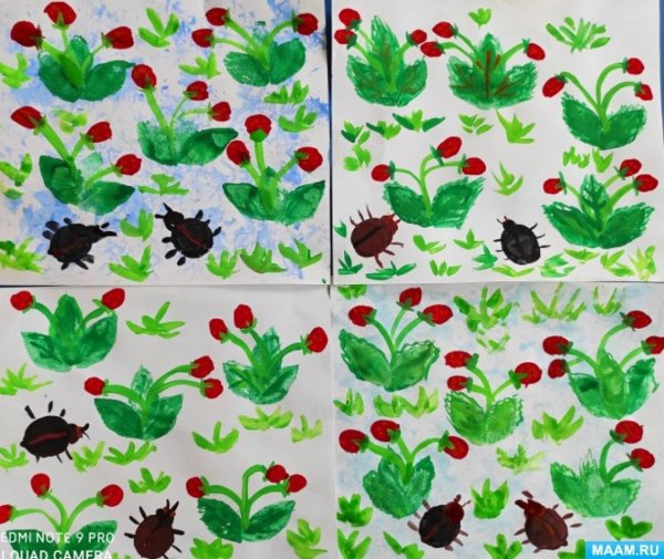 Рисование ягоды в средней группе