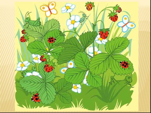 Ягодная Полянка для детей