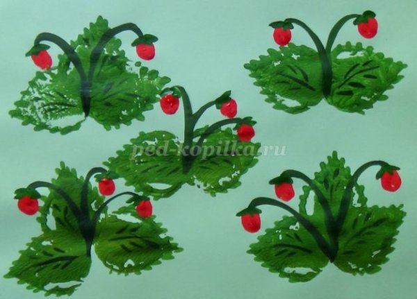 Рисование земляника в старшей группе