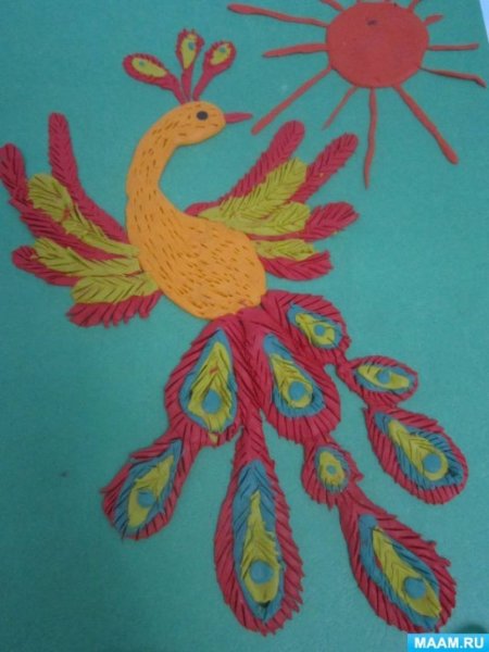 Жар птица пласт