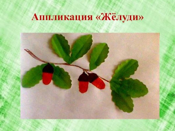 Аппликация Желудь