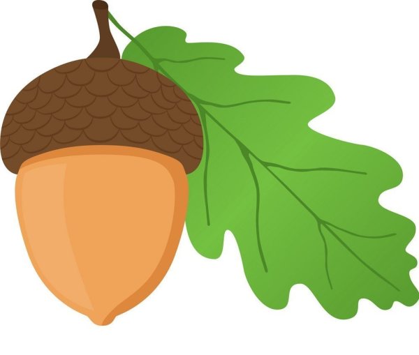 Желуди мультяшные