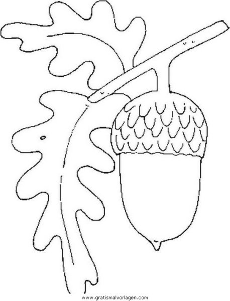 Желудь трафарет