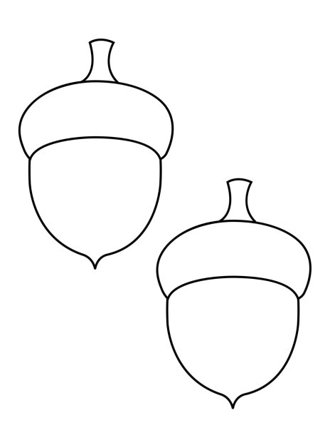 Желудь шаблон