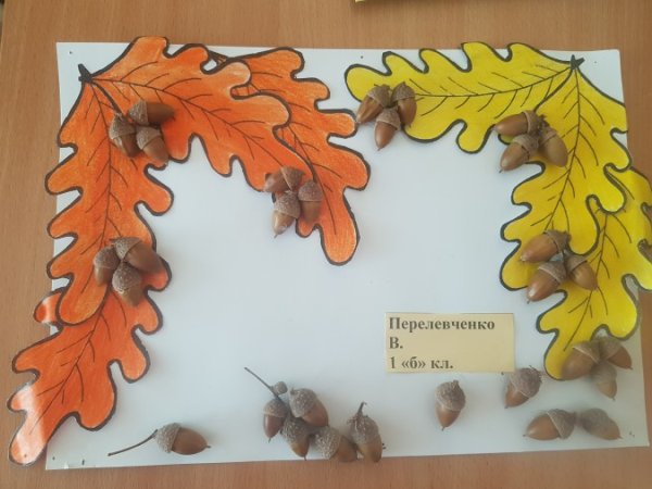 Аппликация лист дуба с желудем